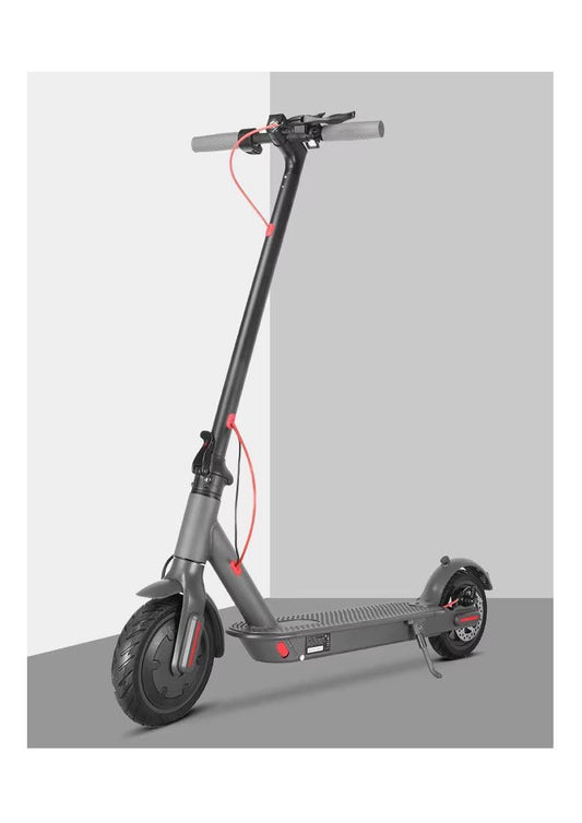 Trottinette électrique M 365 350 watts pliable