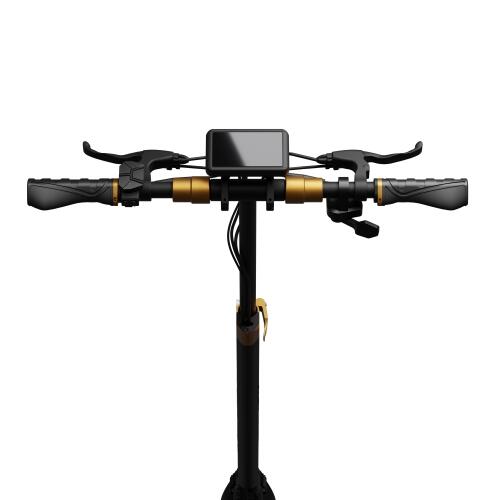 Trottinette électrique Ruptor R1 Lite V2 Cooper 500W, 60 km